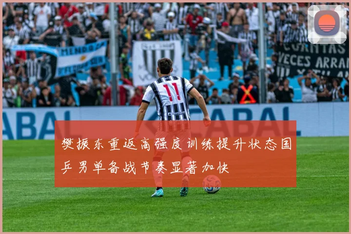 樊振东重返高强度训练提升状态国乒男单备战节奏显著加快
