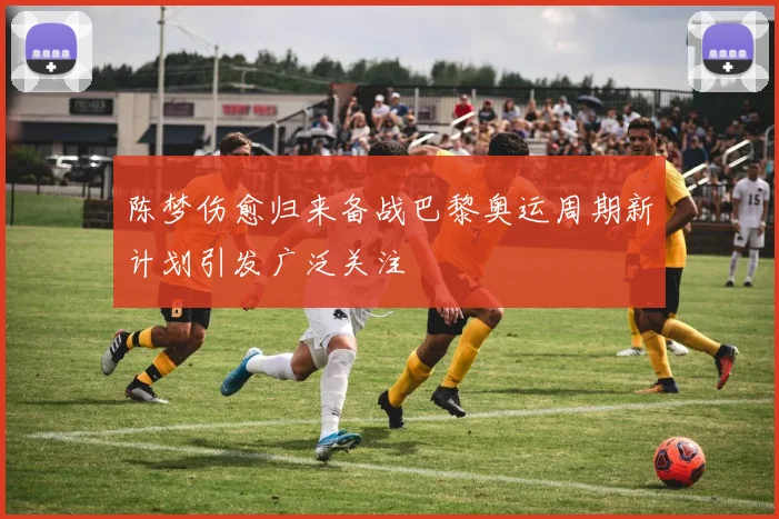 陈梦伤愈归来备战巴黎奥运周期新计划引发广泛关注